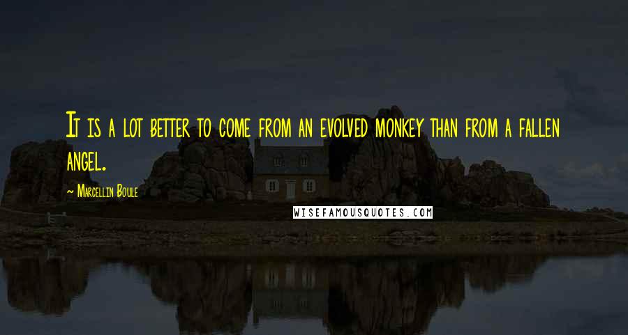 Marcellin Boule Quotes: It is a lot better to come from an evolved monkey than from a fallen angel.