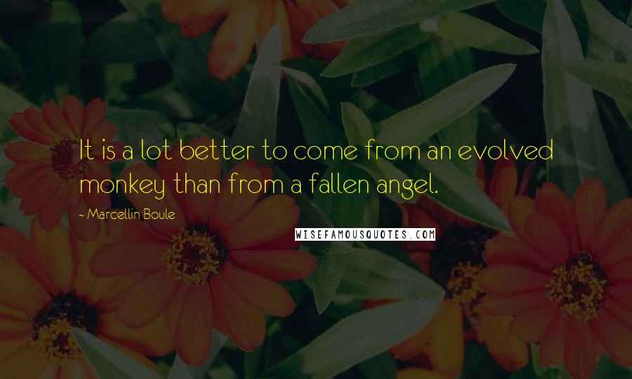 Marcellin Boule Quotes: It is a lot better to come from an evolved monkey than from a fallen angel.