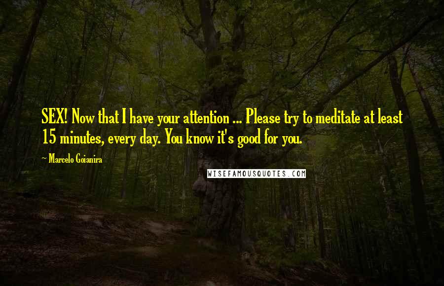 Marcelo Goianira Quotes: SEX! Now that I have your attention ... Please try to meditate at least 15 minutes, every day. You know it's good for you.