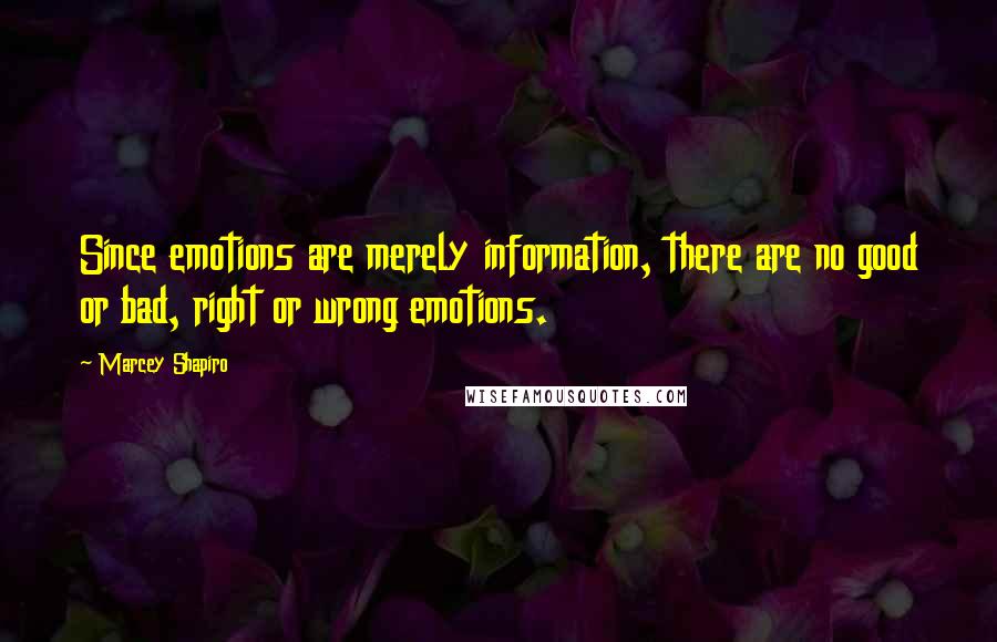 Marcey Shapiro Quotes: Since emotions are merely information, there are no good or bad, right or wrong emotions.