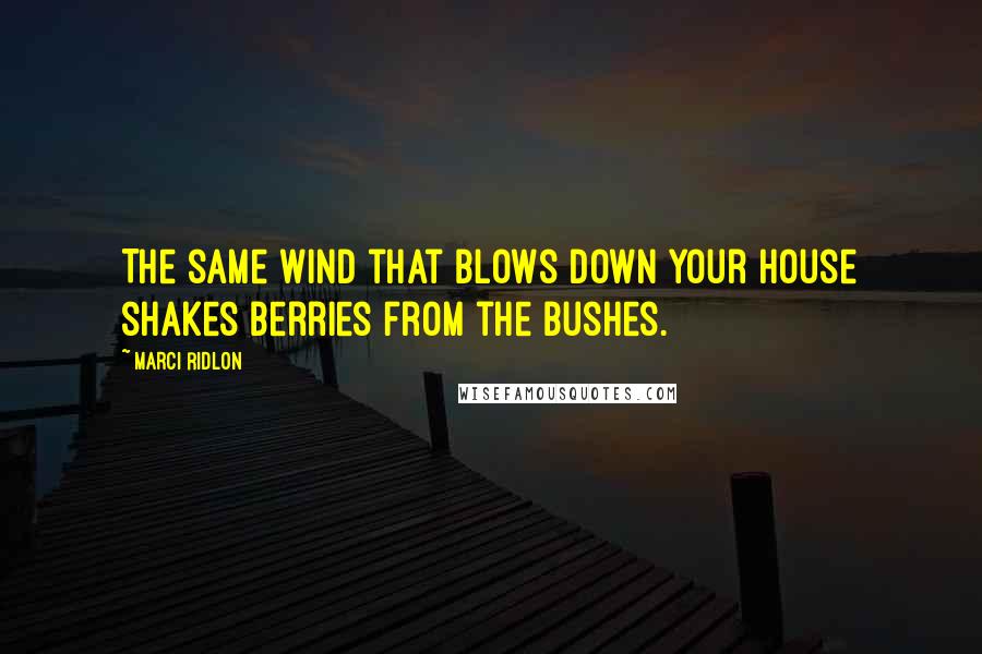 Marci Ridlon Quotes: The same wind that blows down your house shakes berries from the bushes.