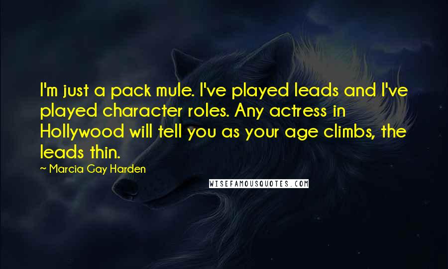 Marcia Gay Harden Quotes: I'm just a pack mule. I've played leads and I've played character roles. Any actress in Hollywood will tell you as your age climbs, the leads thin.