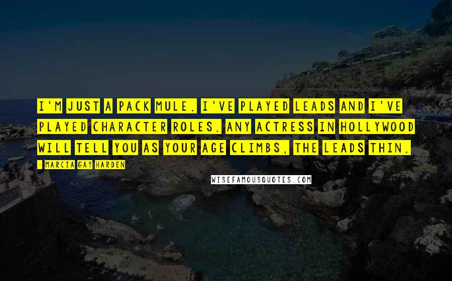 Marcia Gay Harden Quotes: I'm just a pack mule. I've played leads and I've played character roles. Any actress in Hollywood will tell you as your age climbs, the leads thin.