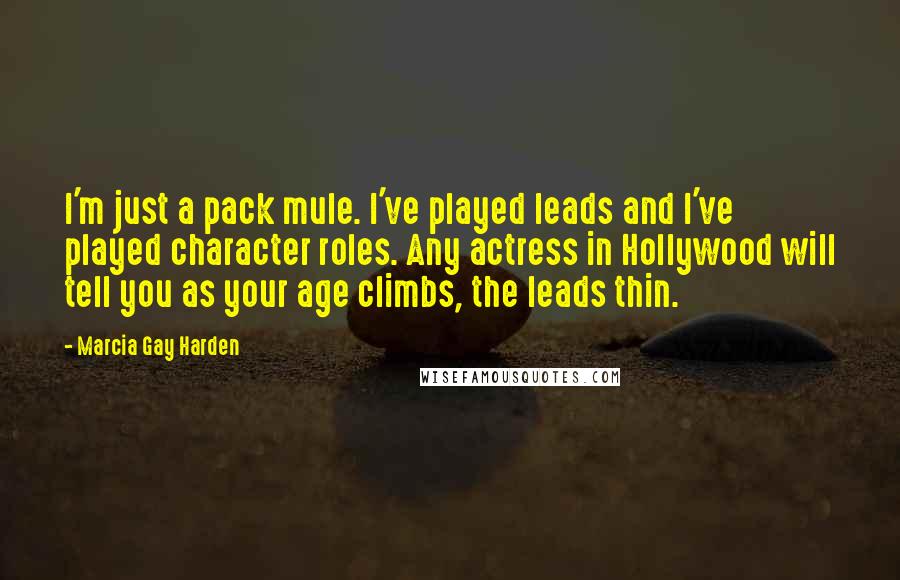 Marcia Gay Harden Quotes: I'm just a pack mule. I've played leads and I've played character roles. Any actress in Hollywood will tell you as your age climbs, the leads thin.