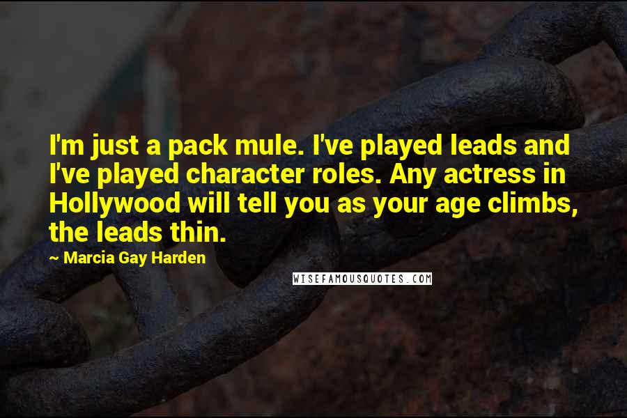 Marcia Gay Harden Quotes: I'm just a pack mule. I've played leads and I've played character roles. Any actress in Hollywood will tell you as your age climbs, the leads thin.