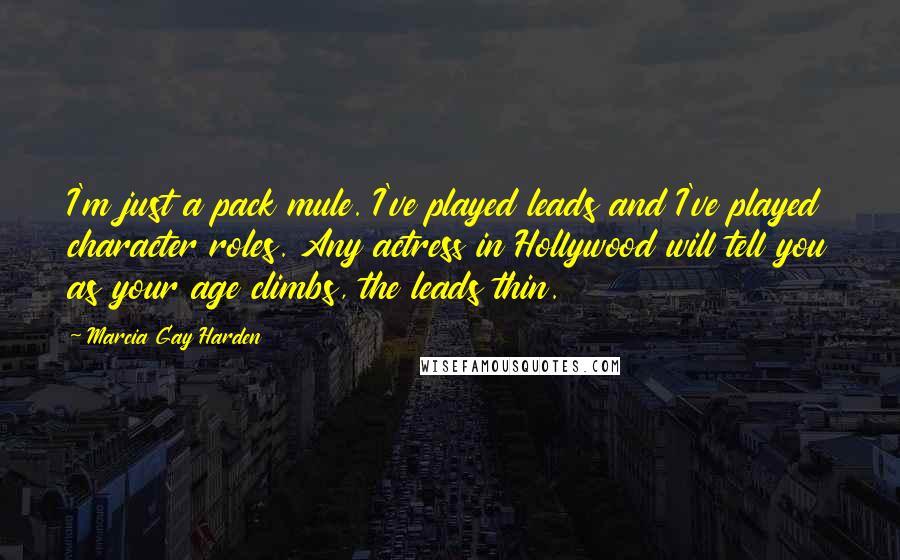 Marcia Gay Harden Quotes: I'm just a pack mule. I've played leads and I've played character roles. Any actress in Hollywood will tell you as your age climbs, the leads thin.