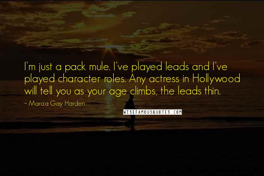 Marcia Gay Harden Quotes: I'm just a pack mule. I've played leads and I've played character roles. Any actress in Hollywood will tell you as your age climbs, the leads thin.