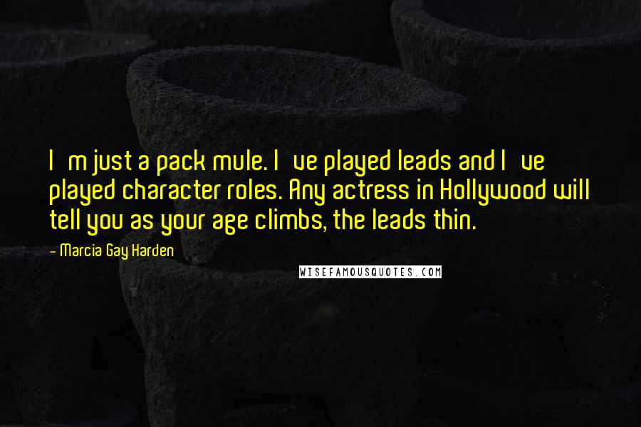 Marcia Gay Harden Quotes: I'm just a pack mule. I've played leads and I've played character roles. Any actress in Hollywood will tell you as your age climbs, the leads thin.