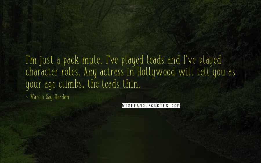 Marcia Gay Harden Quotes: I'm just a pack mule. I've played leads and I've played character roles. Any actress in Hollywood will tell you as your age climbs, the leads thin.