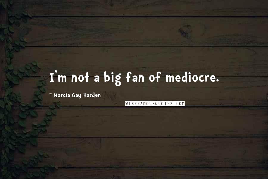 Marcia Gay Harden Quotes: I'm not a big fan of mediocre.