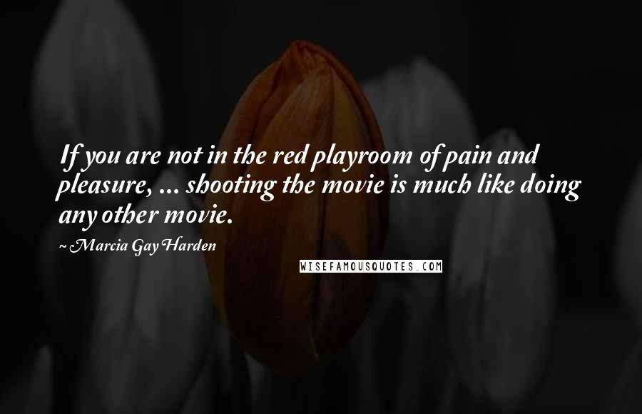 Marcia Gay Harden Quotes: If you are not in the red playroom of pain and pleasure, ... shooting the movie is much like doing any other movie.