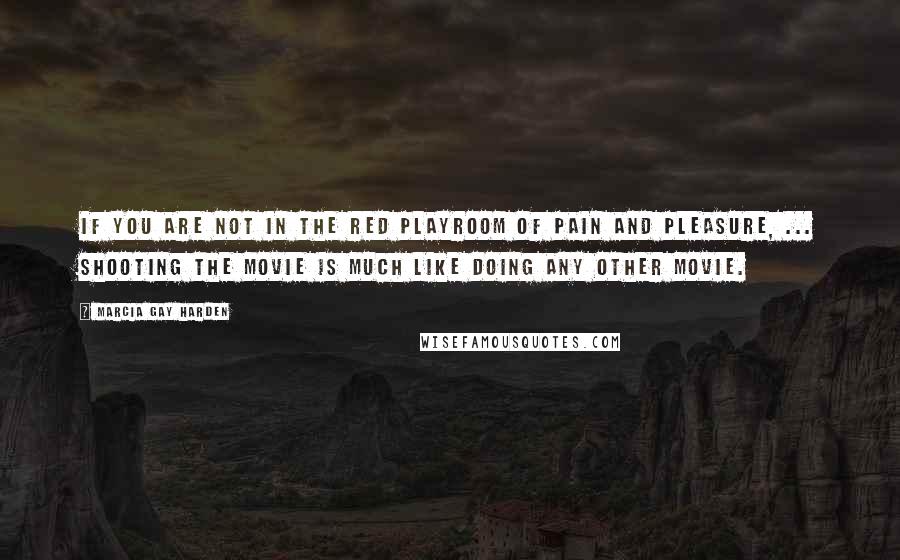 Marcia Gay Harden Quotes: If you are not in the red playroom of pain and pleasure, ... shooting the movie is much like doing any other movie.