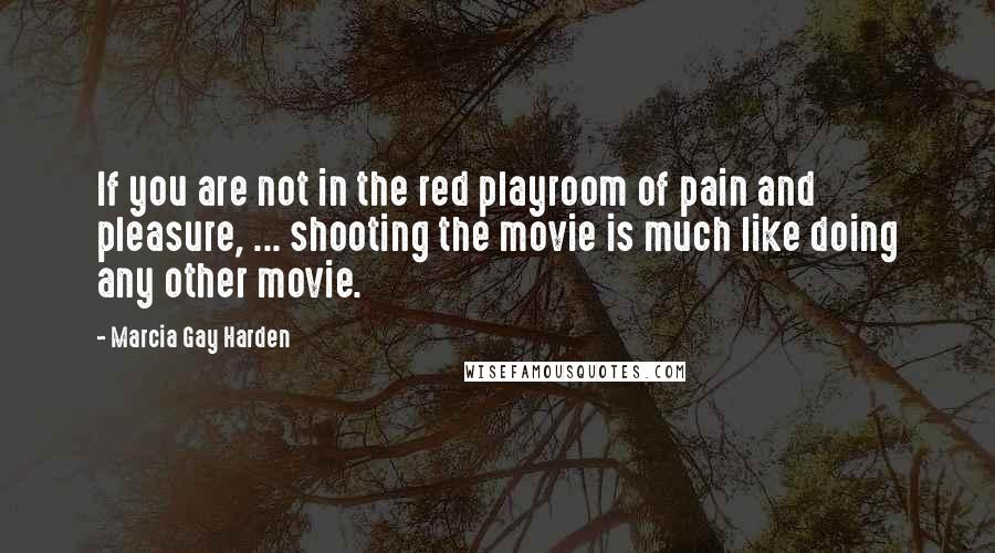 Marcia Gay Harden Quotes: If you are not in the red playroom of pain and pleasure, ... shooting the movie is much like doing any other movie.