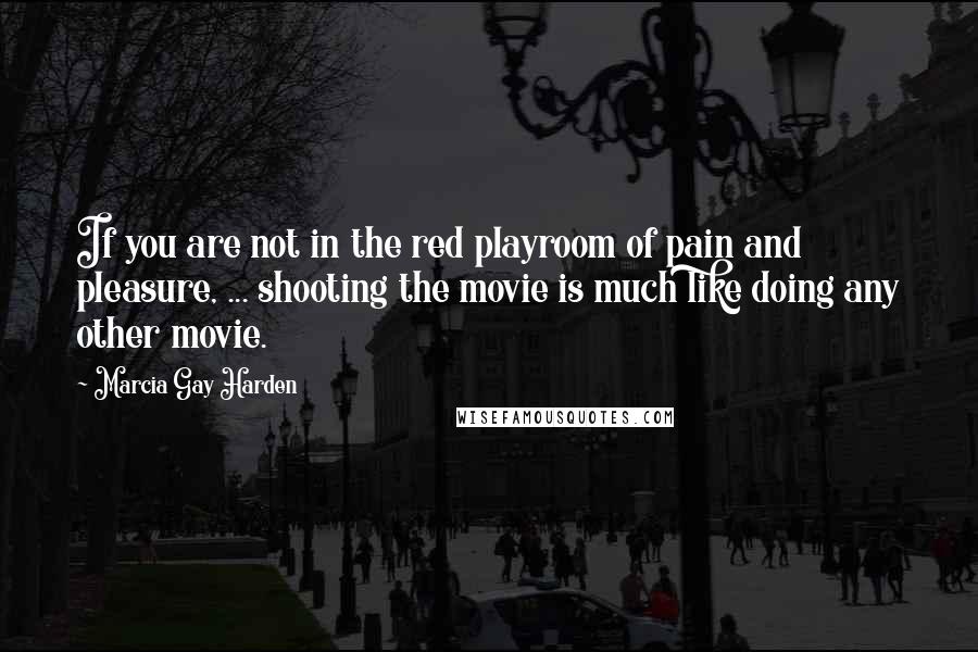 Marcia Gay Harden Quotes: If you are not in the red playroom of pain and pleasure, ... shooting the movie is much like doing any other movie.