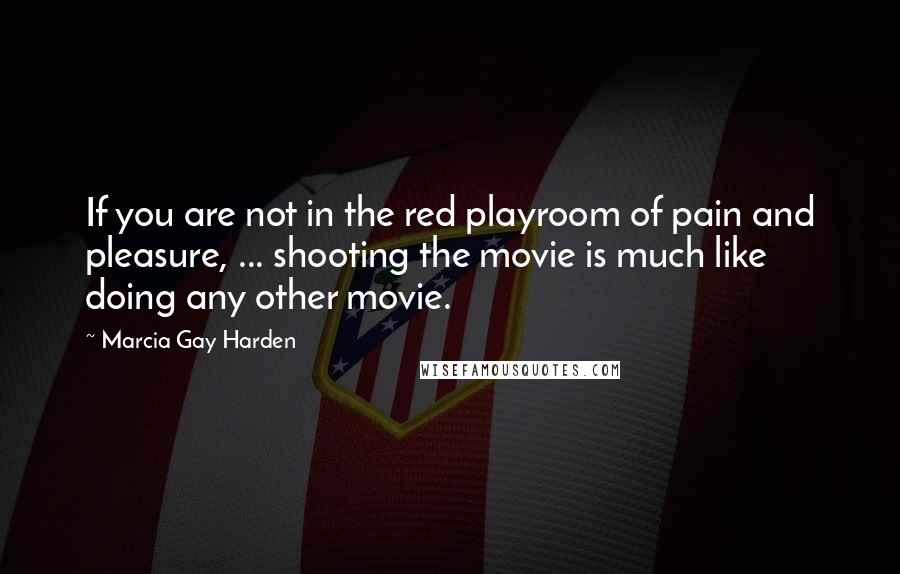 Marcia Gay Harden Quotes: If you are not in the red playroom of pain and pleasure, ... shooting the movie is much like doing any other movie.