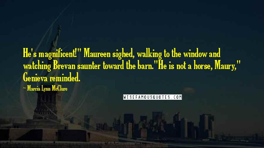 Marcia Lynn McClure Quotes: He's magnificent!" Maureen sighed, walking to the window and watching Brevan saunter toward the barn."He is not a horse, Maury," Genieva reminded.