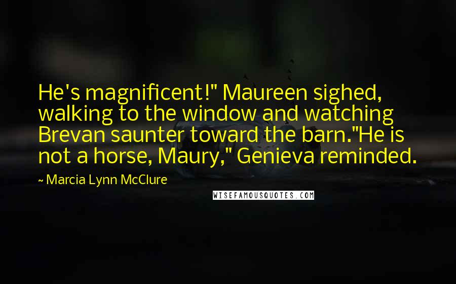 Marcia Lynn McClure Quotes: He's magnificent!" Maureen sighed, walking to the window and watching Brevan saunter toward the barn."He is not a horse, Maury," Genieva reminded.