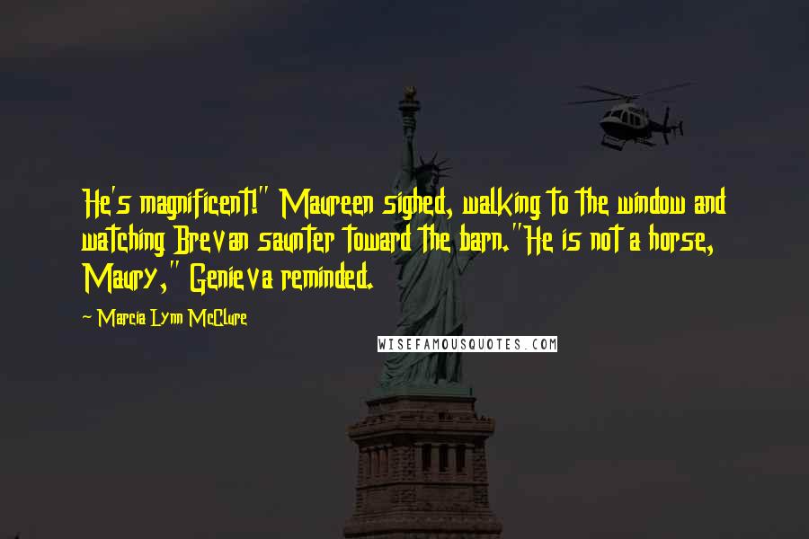 Marcia Lynn McClure Quotes: He's magnificent!" Maureen sighed, walking to the window and watching Brevan saunter toward the barn."He is not a horse, Maury," Genieva reminded.