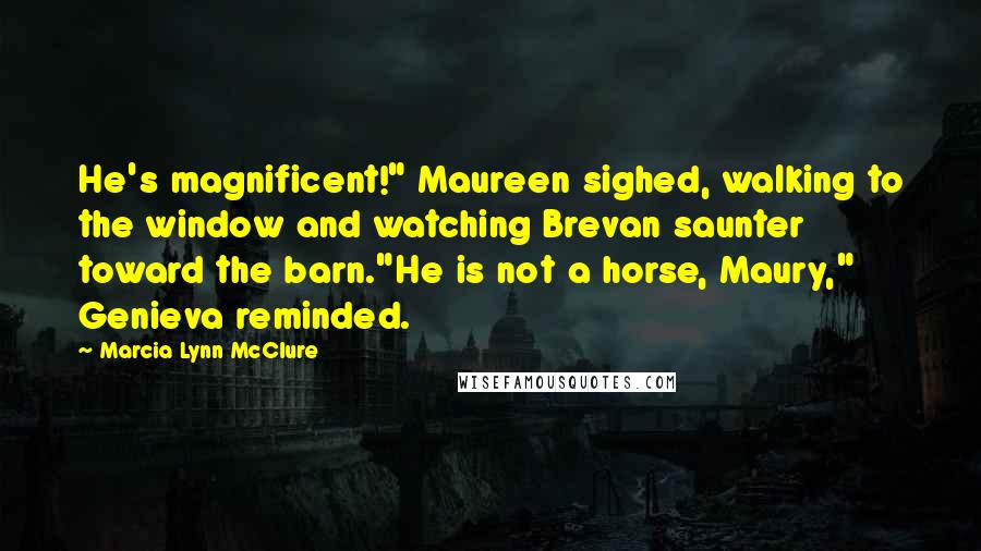 Marcia Lynn McClure Quotes: He's magnificent!" Maureen sighed, walking to the window and watching Brevan saunter toward the barn."He is not a horse, Maury," Genieva reminded.