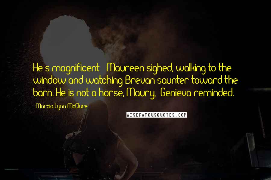 Marcia Lynn McClure Quotes: He's magnificent!" Maureen sighed, walking to the window and watching Brevan saunter toward the barn."He is not a horse, Maury," Genieva reminded.