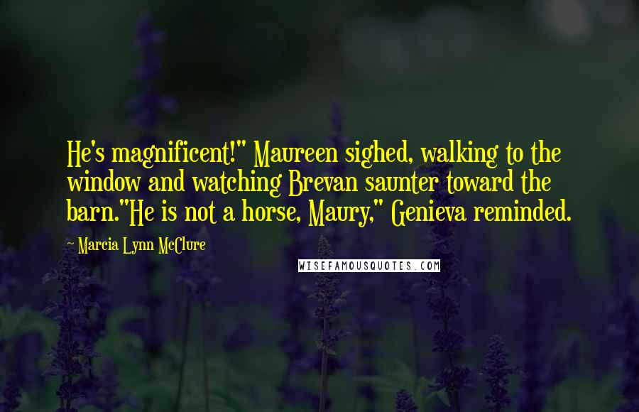 Marcia Lynn McClure Quotes: He's magnificent!" Maureen sighed, walking to the window and watching Brevan saunter toward the barn."He is not a horse, Maury," Genieva reminded.