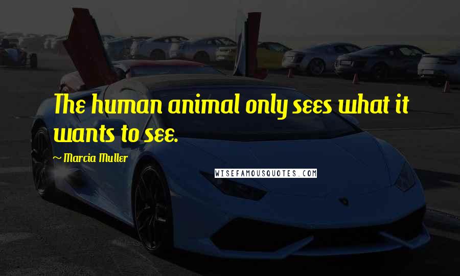 Marcia Muller Quotes: The human animal only sees what it wants to see.