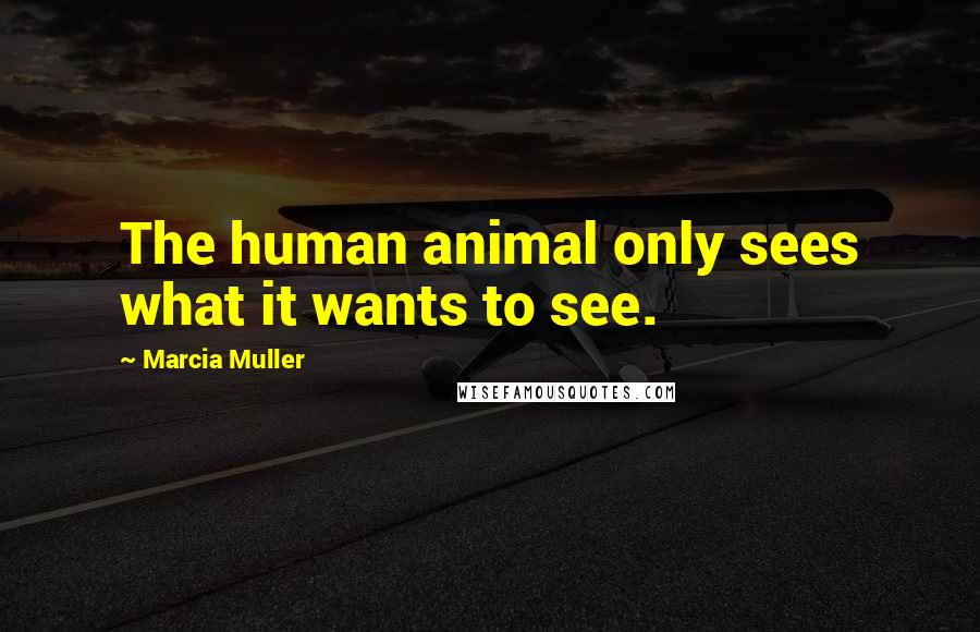 Marcia Muller Quotes: The human animal only sees what it wants to see.