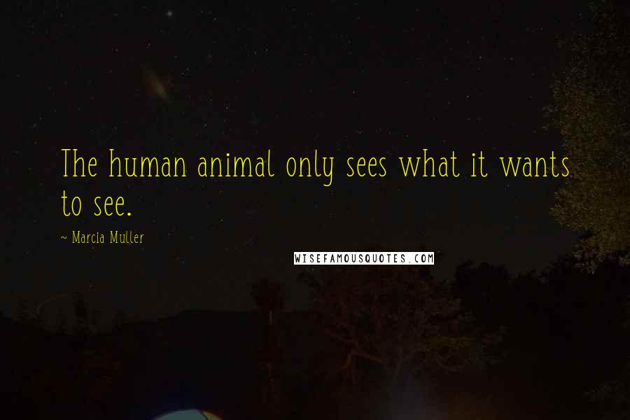 Marcia Muller Quotes: The human animal only sees what it wants to see.