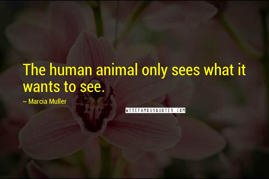 Marcia Muller Quotes: The human animal only sees what it wants to see.