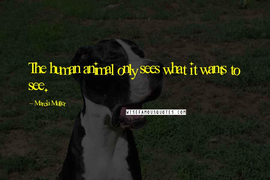 Marcia Muller Quotes: The human animal only sees what it wants to see.