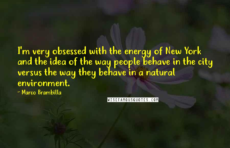 Marco Brambilla Quotes: I'm very obsessed with the energy of New York and the idea of the way people behave in the city versus the way they behave in a natural environment.