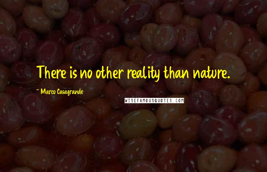 Marco Casagrande Quotes: There is no other reality than nature.