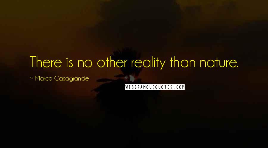 Marco Casagrande Quotes: There is no other reality than nature.