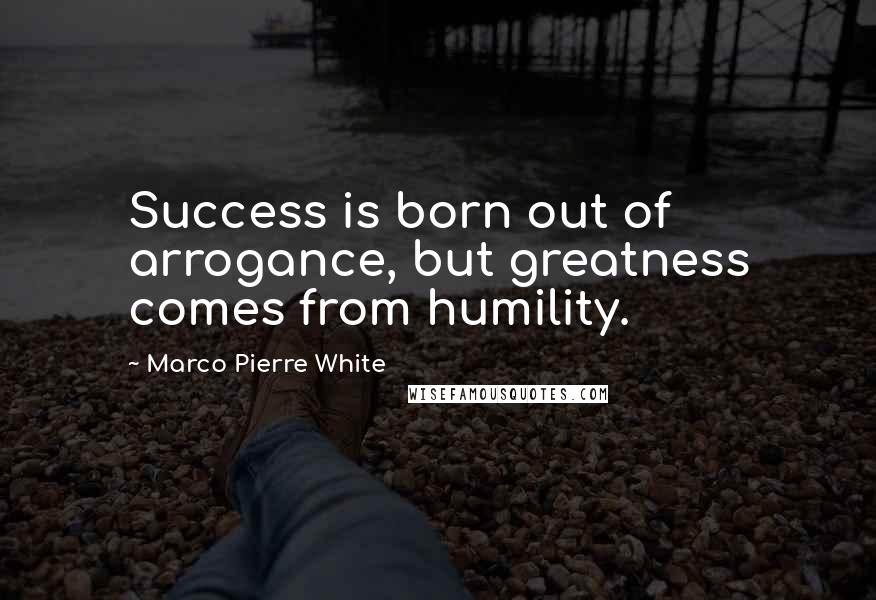 Marco Pierre White Quotes: Success is born out of arrogance, but greatness comes from humility.
