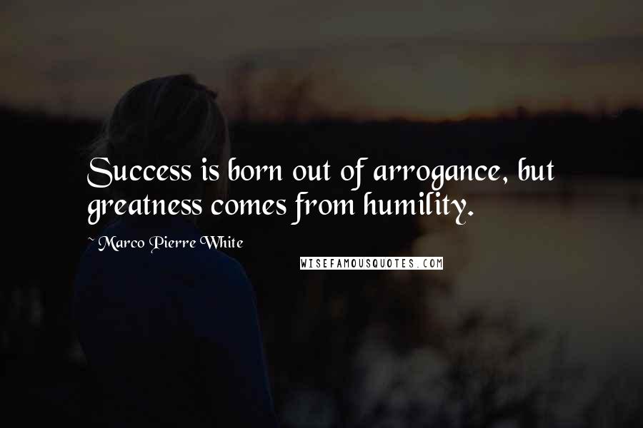 Marco Pierre White Quotes: Success is born out of arrogance, but greatness comes from humility.