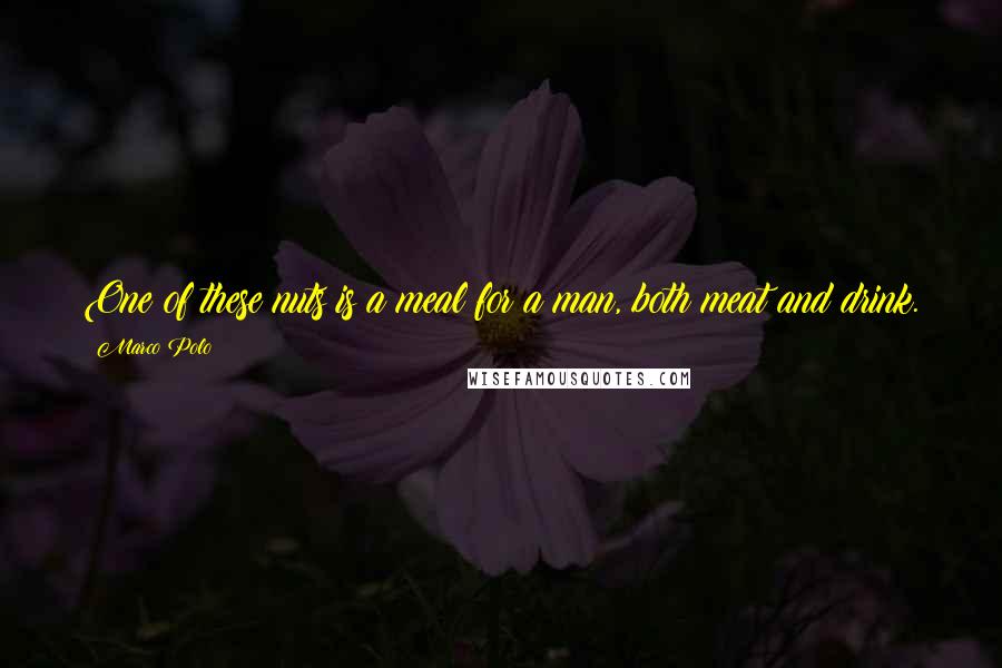 Marco Polo Quotes: One of these nuts is a meal for a man, both meat and drink.