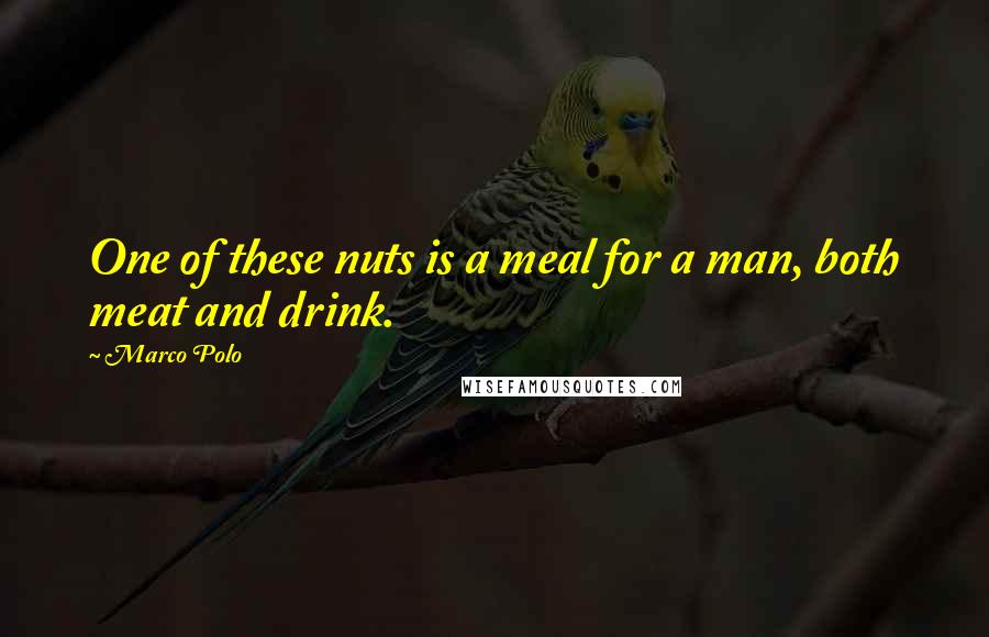 Marco Polo Quotes: One of these nuts is a meal for a man, both meat and drink.