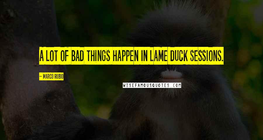 Marco Rubio Quotes: A lot of bad things happen in lame duck sessions.