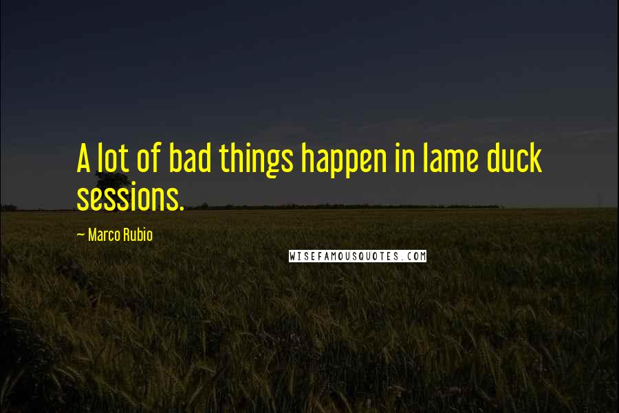 Marco Rubio Quotes: A lot of bad things happen in lame duck sessions.