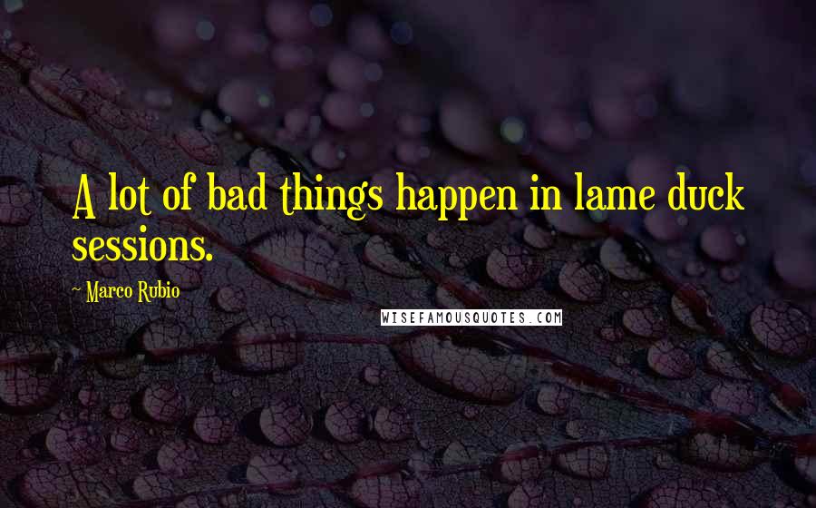 Marco Rubio Quotes: A lot of bad things happen in lame duck sessions.