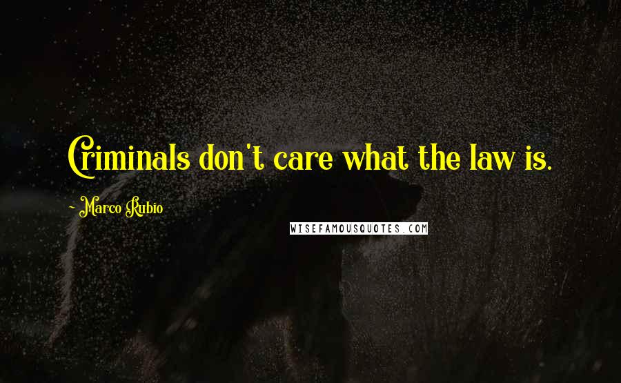 Marco Rubio Quotes: Criminals don't care what the law is.