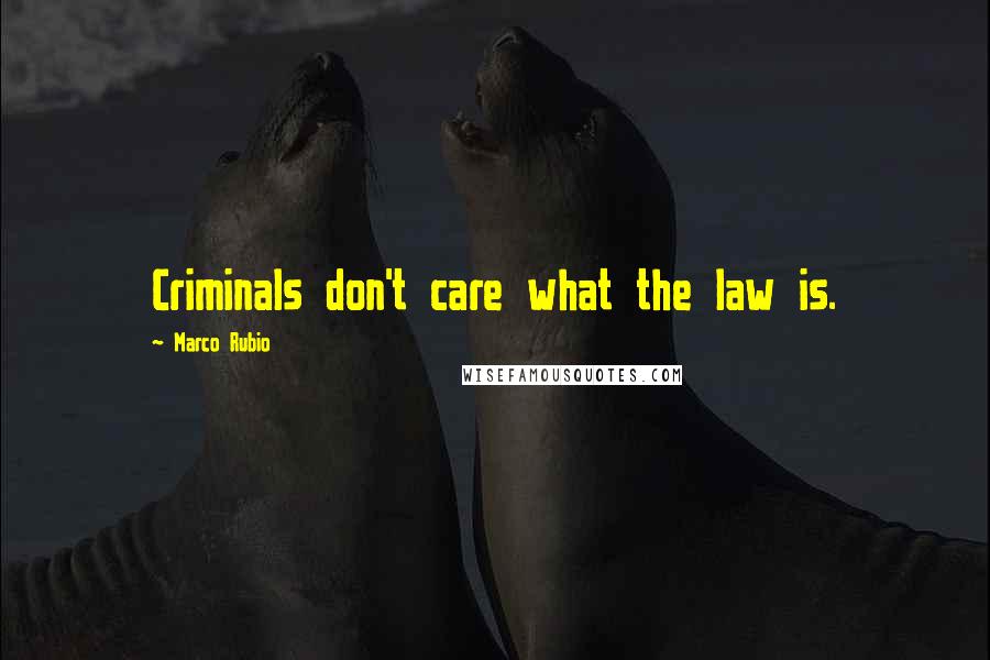 Marco Rubio Quotes: Criminals don't care what the law is.