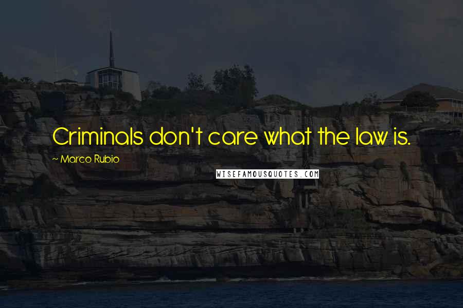 Marco Rubio Quotes: Criminals don't care what the law is.