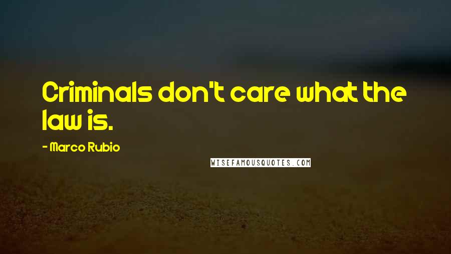 Marco Rubio Quotes: Criminals don't care what the law is.