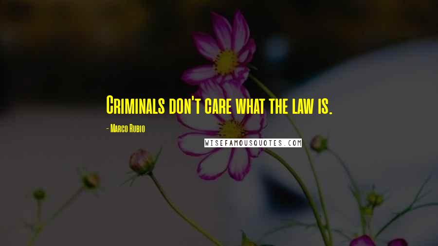 Marco Rubio Quotes: Criminals don't care what the law is.