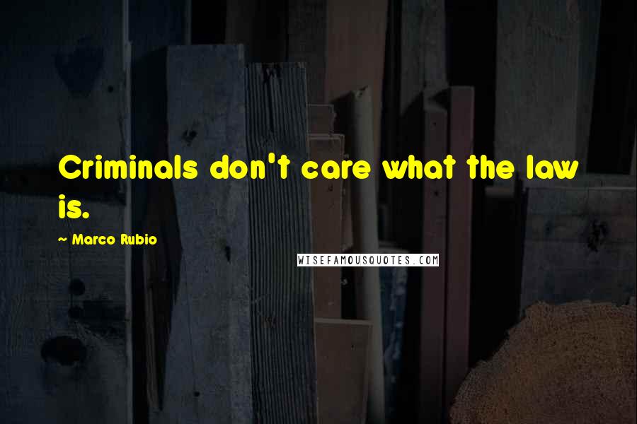 Marco Rubio Quotes: Criminals don't care what the law is.