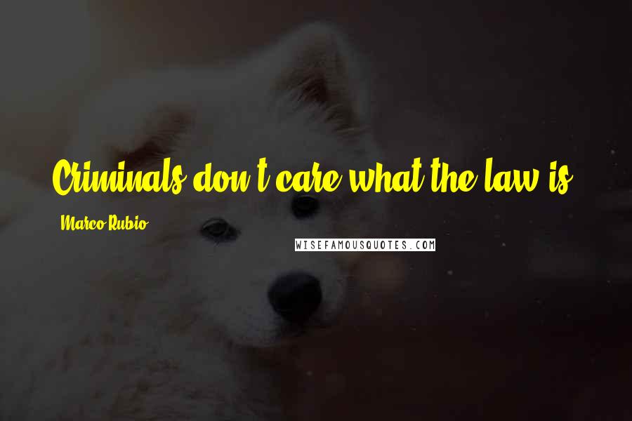 Marco Rubio Quotes: Criminals don't care what the law is.