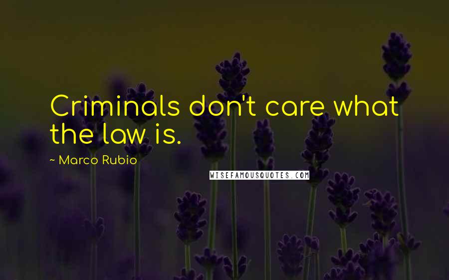 Marco Rubio Quotes: Criminals don't care what the law is.