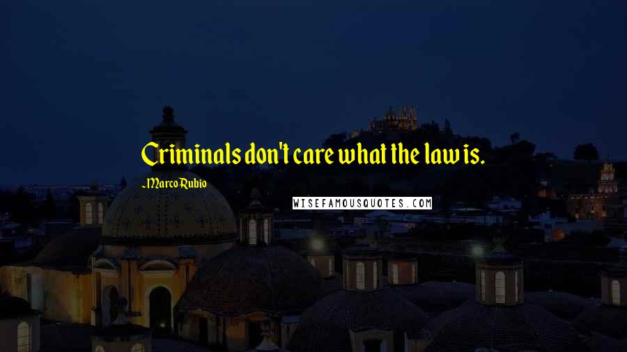 Marco Rubio Quotes: Criminals don't care what the law is.