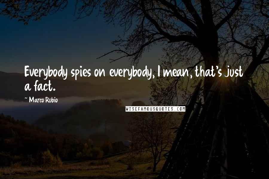 Marco Rubio Quotes: Everybody spies on everybody, I mean, that's just a fact.
